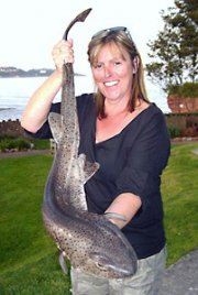 Paignton Sea Anglers Image