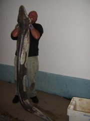 Paignton Sea Anglers Image