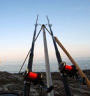 Paignton Sea Anglers Image