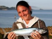 Paignton Sea Anglers Image