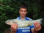 Junior club Record Golden Grey Mullet