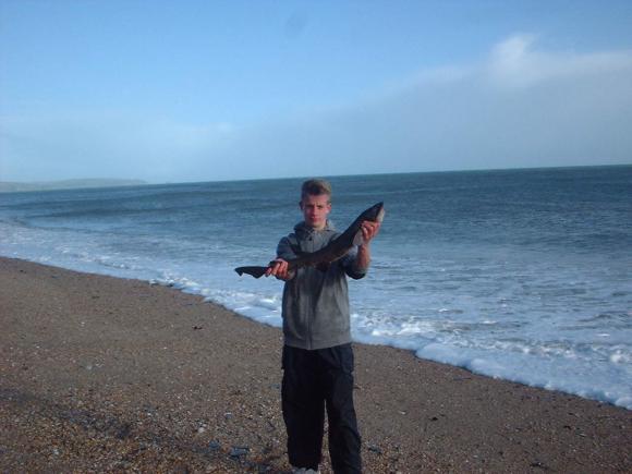 Beesands Comp Winner  Bull Huss