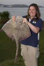 R. Wherlocks Fine T.B Ray