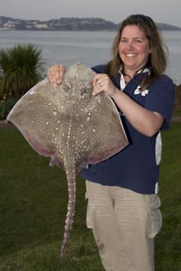 R. Wherlocks Fine T.B Ray