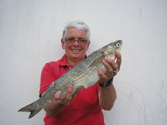 Fran Dack Golden Grey Mullet 2-6-1 , 111.95% New Ladies club record!