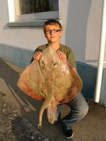 Max Bingle Blonde ray of 20-3-10 (91.94%)