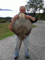 Mike Wall Blonde Ray of 28-13-14 (131.21%)