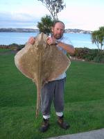 G Harding Blonde Ray 