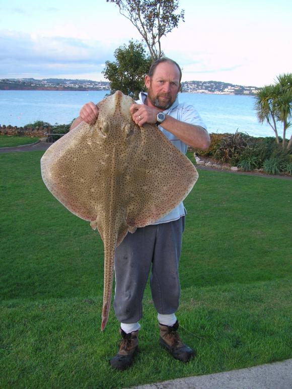 G Harding Blonde Ray 